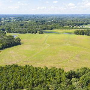 Photo #17 of SOLD property in Off John Lewis Road, Burlington, NC 10.0 acres