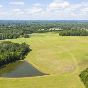 Photo #14 of SOLD property in Off John Lewis Road, Burlington, NC 10.0 acres