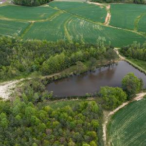 Photo #21 of SOLD property in Lot-4, 00 Allensville Road, Roxboro, NC 10.6 acres