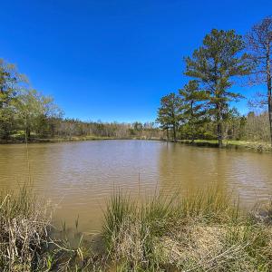 Photo #23 of SOLD property in Lot-4, 00 Allensville Road, Roxboro, NC 10.6 acres