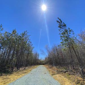 Photo #27 of SOLD property in Lot-4, 00 Allensville Road, Roxboro, NC 10.6 acres