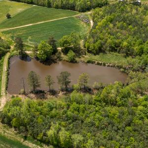 Photo #12 of SOLD property in Lot-4, 00 Allensville Road, Roxboro, NC 10.6 acres