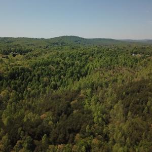 Photo #7 of SOLD property in Off Lees Ridge Road, Martinsville, VA 68.6 acres