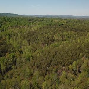 Photo #8 of SOLD property in Off Lees Ridge Road, Martinsville, VA 68.6 acres