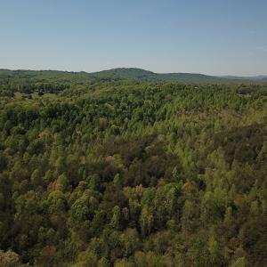 Photo #3 of SOLD property in Off Lees Ridge Road, Martinsville, VA 68.6 acres