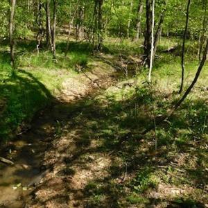 Photo #9 of SOLD property in Off Lees Ridge Road, Martinsville, VA 68.6 acres