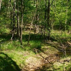 Photo #12 of SOLD property in Off Lees Ridge Road, Martinsville, VA 68.6 acres