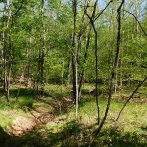 Photo #13 of SOLD property in Off Lees Ridge Road, Martinsville, VA 68.6 acres