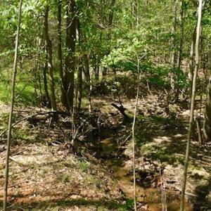 Photo #14 of SOLD property in Off Lees Ridge Road, Martinsville, VA 68.6 acres