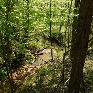 Photo #16 of SOLD property in Off Lees Ridge Road, Martinsville, VA 68.6 acres