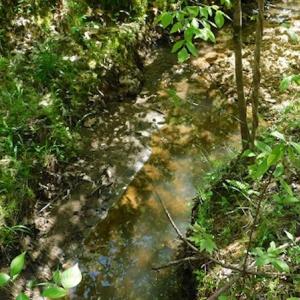 Photo #18 of SOLD property in Off Lees Ridge Road, Martinsville, VA 68.6 acres