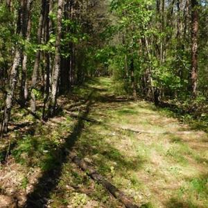 Photo #19 of SOLD property in Off Lees Ridge Road, Martinsville, VA 68.6 acres