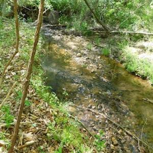 Photo #26 of SOLD property in Off Lees Ridge Road, Martinsville, VA 68.6 acres