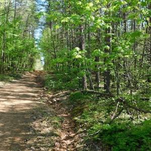 Photo #27 of SOLD property in Off Lees Ridge Road, Martinsville, VA 68.6 acres
