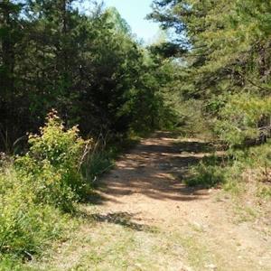 Photo #28 of SOLD property in Off Lees Ridge Road, Martinsville, VA 68.6 acres