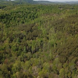 Photo #6 of SOLD property in Off Lees Ridge Road, Martinsville, VA 68.6 acres