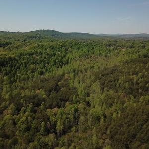 Photo #5 of SOLD property in Off Lees Ridge Road, Martinsville, VA 68.6 acres