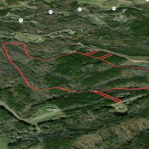 Photo #2 of SOLD property in Off Lees Ridge Road, Martinsville, VA 68.6 acres