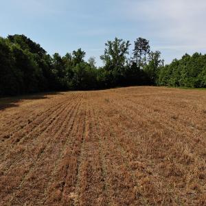 Photo #17 of SOLD property in Off HWY 903, Littleton, NC 4.2 acres