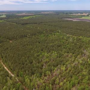 Photo #9 of SOLD property in Off Blizzard Road, Snow Hill, NC 13.7 acres