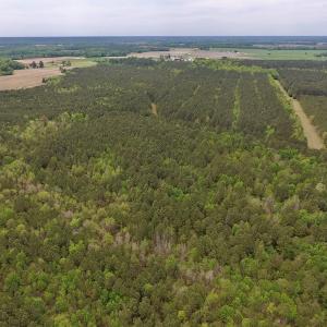 Photo #14 of SOLD property in Off Blizzard Road, Snow Hill, NC 13.7 acres