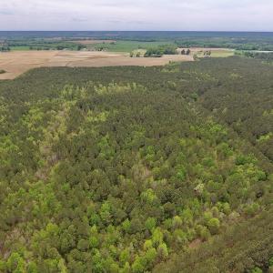 Photo #17 of SOLD property in Off Blizzard Road, Snow Hill, NC 13.7 acres