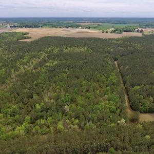Photo #18 of SOLD property in Off Blizzard Road, Snow Hill, NC 13.7 acres