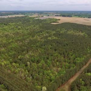 Photo #19 of SOLD property in Off Blizzard Road, Snow Hill, NC 13.7 acres