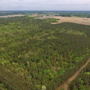 Photo #19 of SOLD property in Off Blizzard Road, Snow Hill, NC 13.7 acres
