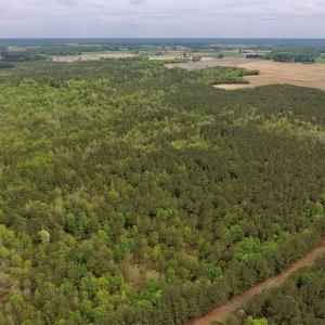 Photo #20 of SOLD property in Off Blizzard Road, Snow Hill, NC 13.7 acres