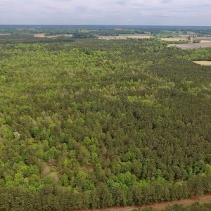 Photo #21 of SOLD property in Off Blizzard Road, Snow Hill, NC 13.7 acres