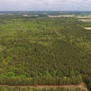 Photo #22 of SOLD property in Off Blizzard Road, Snow Hill, NC 13.7 acres