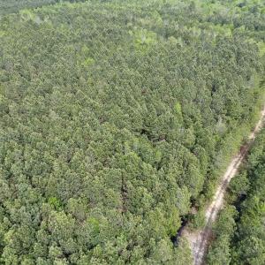 Photo #28 of SOLD property in Off Blizzard Road, Snow Hill, NC 13.7 acres