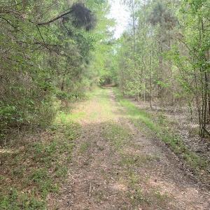 Photo #30 of SOLD property in Off Blizzard Road, Snow Hill, NC 13.7 acres