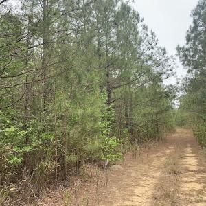 Photo #32 of SOLD property in Off Blizzard Road, Snow Hill, NC 13.7 acres