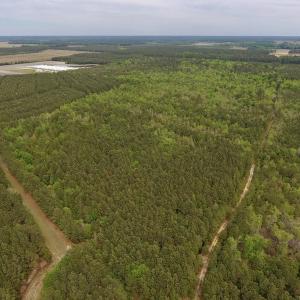 Photo #3 of SOLD property in Off Blizzard Road, Snow Hill, NC 13.7 acres