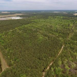 Photo #4 of SOLD property in Off Blizzard Road, Snow Hill, NC 13.7 acres