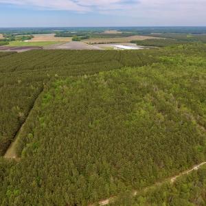Photo #5 of SOLD property in Off Blizzard Road, Snow Hill, NC 13.7 acres
