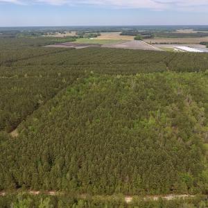 Photo #6 of SOLD property in Off Blizzard Road, Snow Hill, NC 13.7 acres