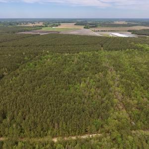 Photo #7 of SOLD property in Off Blizzard Road, Snow Hill, NC 13.7 acres