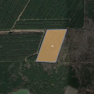 Photo #31 of SOLD property in Off Blizzard Road, Snow Hill, NC 13.7 acres