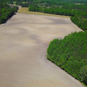 Photo #3 of SOLD property in Off Corinth Chapel Rd, Suffolk, VA 66.0 acres