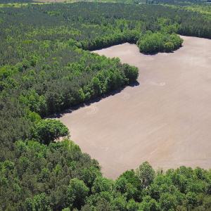 Photo #5 of SOLD property in Off Corinth Chapel Rd, Suffolk, VA 66.0 acres