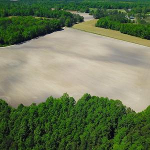 Photo #6 of SOLD property in Off Corinth Chapel Rd, Suffolk, VA 66.0 acres