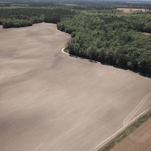 Photo #9 of SOLD property in Off Corinth Chapel Rd, Suffolk, VA 66.0 acres