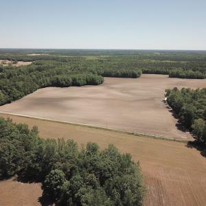 Photo #12 of SOLD property in Off Corinth Chapel Rd, Suffolk, VA 66.0 acres