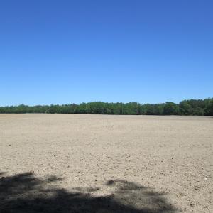 Photo #13 of SOLD property in Off Corinth Chapel Rd, Suffolk, VA 66.0 acres