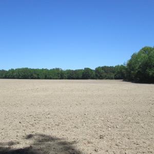 Photo #14 of SOLD property in Off Corinth Chapel Rd, Suffolk, VA 66.0 acres