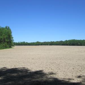 Photo #15 of SOLD property in Off Corinth Chapel Rd, Suffolk, VA 66.0 acres