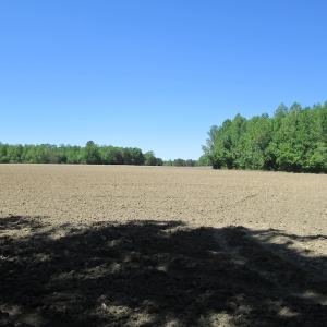 Photo #16 of SOLD property in Off Corinth Chapel Rd, Suffolk, VA 66.0 acres